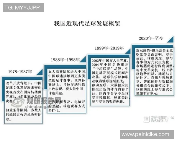上海足球队的运营模式与发展策略深度解析