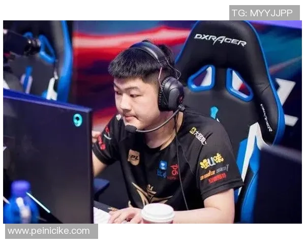 深入分析LNG战队的区域防守策略与战术布局