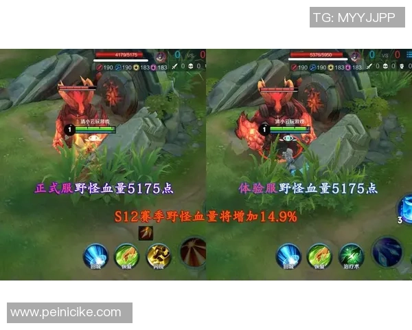 王者荣耀热点分析：深入探讨FPX战队的防守策略与战术布局