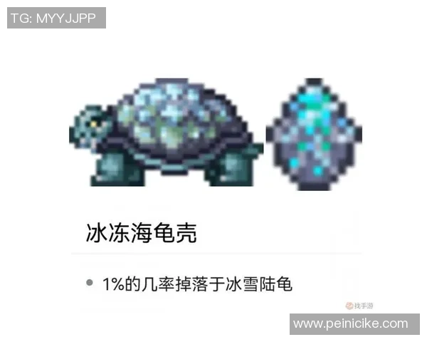 聚焦CSGOV5团队协作的关键策略与实战经验分享